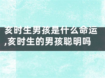 亥时生男孩是什么命运,亥时生的男孩聪明吗