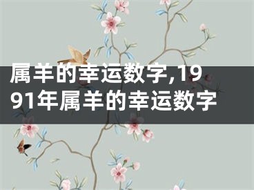 属羊的幸运数字,1991年属羊的幸运数字