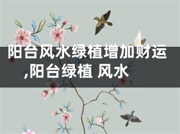 阳台风水绿植增加财运,阳台绿植 风水