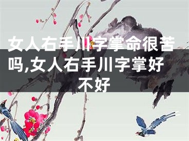 女人右手川字掌命很苦吗,女人右手川字掌好不好