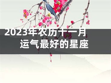 2023年农历十一月运气最好的星座