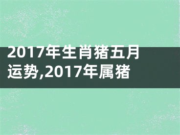 2017年生肖猪五月运势,2017年属猪