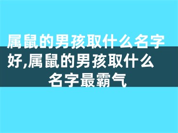 属鼠的男孩取什么名字好,属鼠的男孩取什么名字最霸气