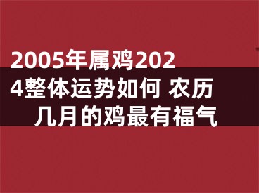 2005年属鸡2024整体运势如何 农历几月的鸡最有福气