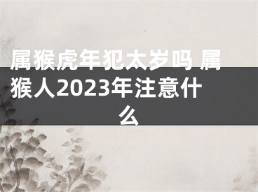 属猴虎年犯太岁吗 属猴人2023年注意什么
