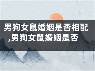 男狗女鼠婚姻是否相配,男狗女鼠婚姻是否