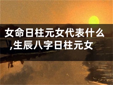 女命日柱元女代表什么,生辰八字日柱元女