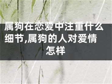 属狗在恋爱中注重什么细节,属狗的人对爱情怎样