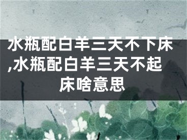 水瓶配白羊三天不下床,水瓶配白羊三天不起床啥意思