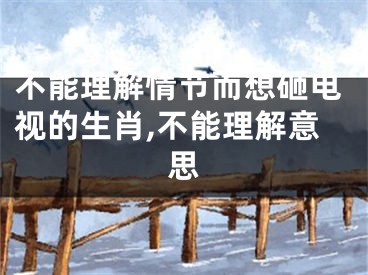 不能理解情节而想砸电视的生肖,不能理解意思