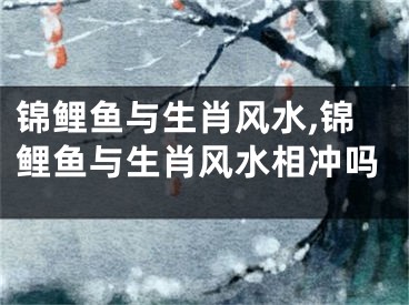 锦鲤鱼与生肖风水,锦鲤鱼与生肖风水相冲吗