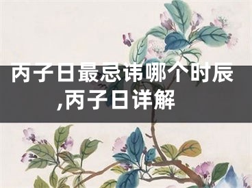 丙子日最忌讳哪个时辰,丙子日详解