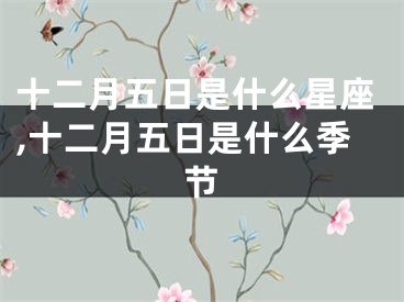 十二月五日是什么星座,十二月五日是什么季节