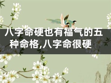 八字命硬也有福气的五种命格,八字命很硬