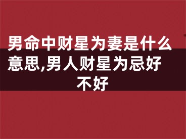 男命中财星为妻是什么意思,男人财星为忌好不好