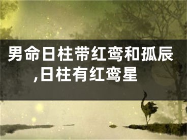 男命日柱带红鸾和孤辰,日柱有红鸾星