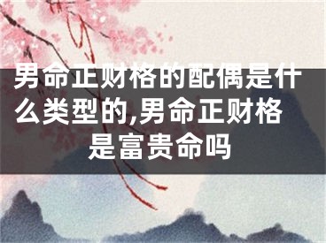 男命正财格的配偶是什么类型的,男命正财格是富贵命吗