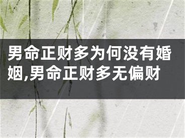 男命正财多为何没有婚姻,男命正财多无偏财