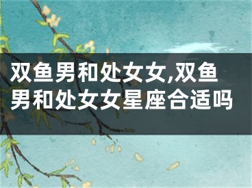 双鱼男和处女女,双鱼男和处女女星座合适吗