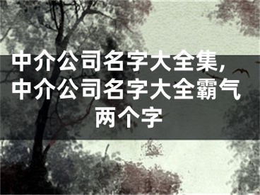 中介公司名字大全集,中介公司名字大全霸气两个字