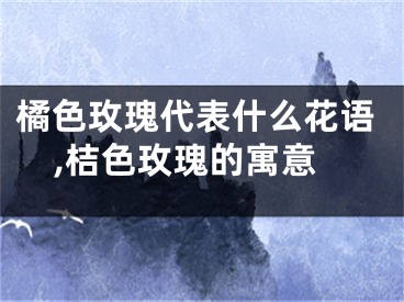 橘色玫瑰代表什么花语,桔色玫瑰的寓意