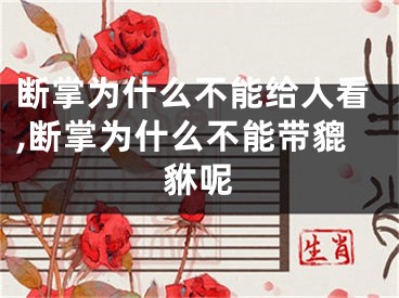 断掌为什么不能给人看,断掌为什么不能带貔貅呢