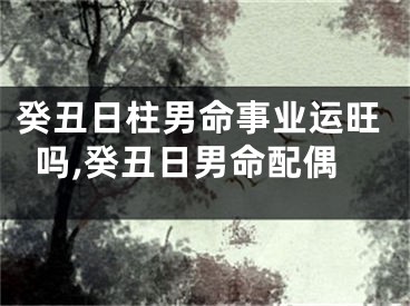 癸丑日柱男命事业运旺吗,癸丑日男命配偶