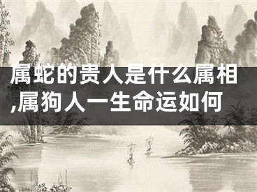 属蛇的贵人是什么属相,属狗人一生命运如何