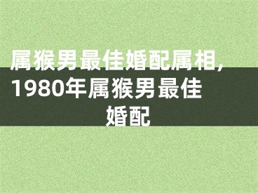 属猴男最佳婚配属相,1980年属猴男最佳婚配