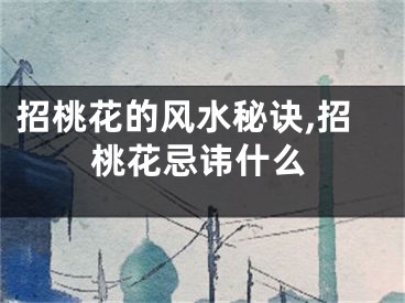 招桃花的风水秘诀,招桃花忌讳什么