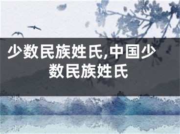 少数民族姓氏,中国少数民族姓氏