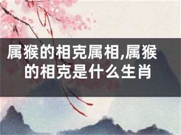 属猴的相克属相,属猴的相克是什么生肖