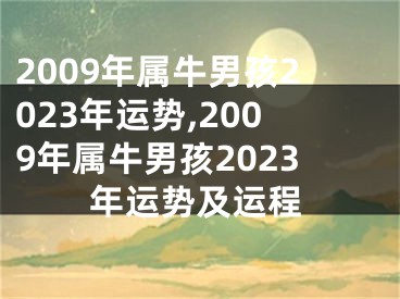 2009年属牛男孩2023年运势,2009年属牛男孩2023年运势及运程