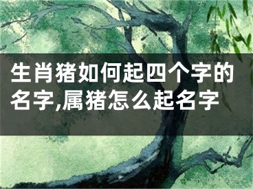 生肖猪如何起四个字的名字,属猪怎么起名字
