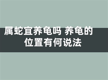 属蛇宜养龟吗 养龟的位置有何说法