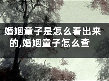 婚姻童子是怎么看出来的,婚姻童子怎么查