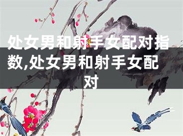 处女男和射手女配对指数,处女男和射手女配对
