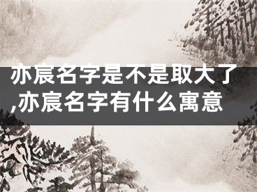 亦宸名字是不是取大了,亦宸名字有什么寓意