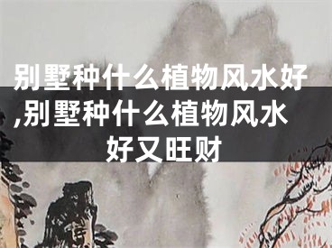 别墅种什么植物风水好,别墅种什么植物风水好又旺财