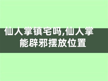 仙人掌镇宅吗,仙人掌能辟邪摆放位置