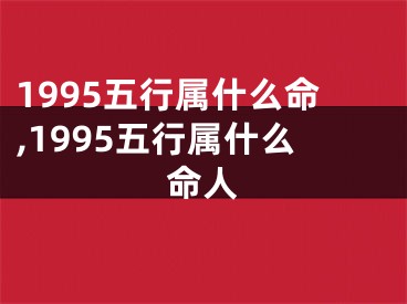 1995五行属什么命,1995五行属什么命人