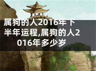 属狗的人2016年下半年运程,属狗的人2016年多少岁