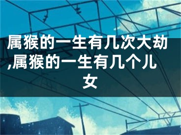 属猴的一生有几次大劫,属猴的一生有几个儿女