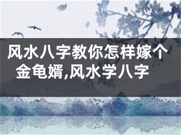 风水八字教你怎样嫁个金龟婿,风水学八字
