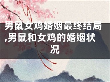 男鼠女鸡婚姻最终结局,男鼠和女鸡的婚姻状况