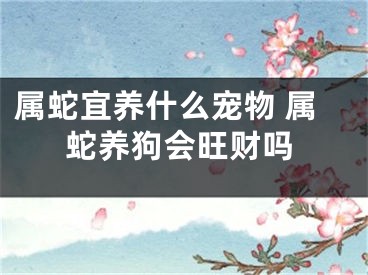 属蛇宜养什么宠物 属蛇养狗会旺财吗