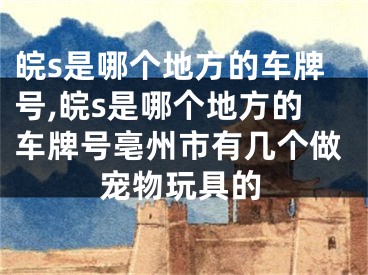 皖s是哪个地方的车牌号,皖s是哪个地方的车牌号亳州市有几个做宠物玩具的