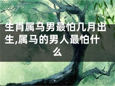 生肖属马男最怕几月出生,属马的男人最怕什么