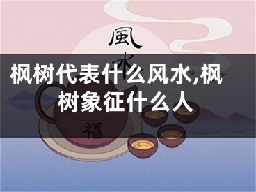 枫树代表什么风水,枫树象征什么人