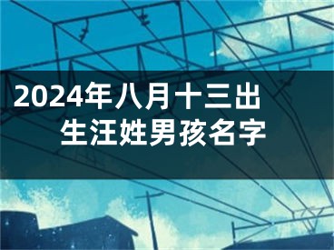 2024年八月十三出生汪姓男孩名字